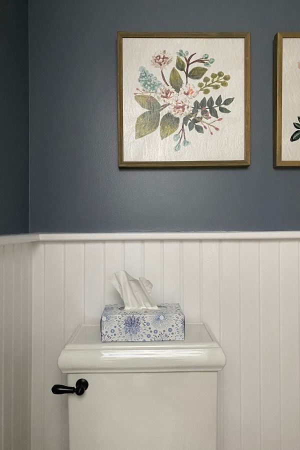 two paintings on the wall above a toilet in a bathroom with blue and white walls