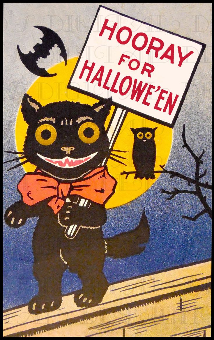 a black cat holding a sign that says hooray for halloween with an owl on it