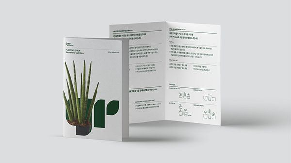 an open brochure with a plant in it