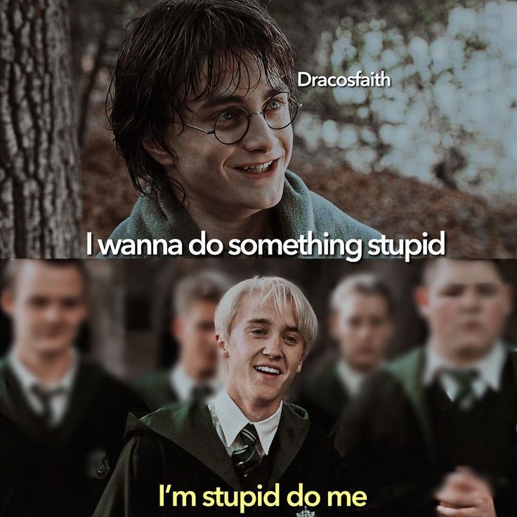 Its Gay but funny lol I don't ship it but ............... OK Drarry Ship, Straight Ships, Headcanon Harry Potter, Pickup Line, Citate Harry Potter, Gay Ships, Harry Potter Memes Hilarious, Gay Harry Potter, Animal Humour