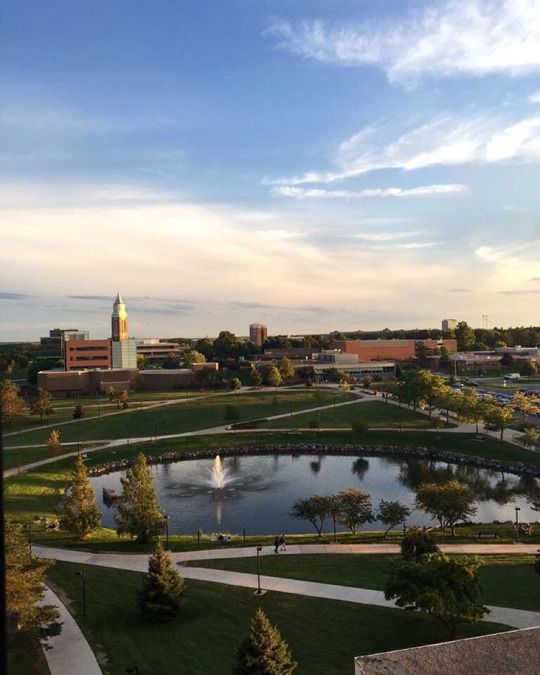 an aerial view of a park and lake