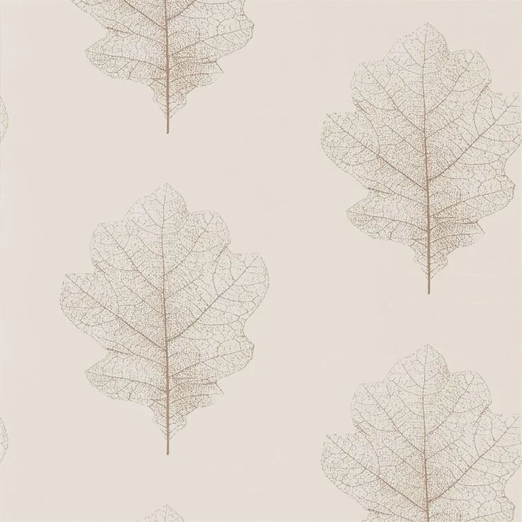 four different types of leaves on a white background