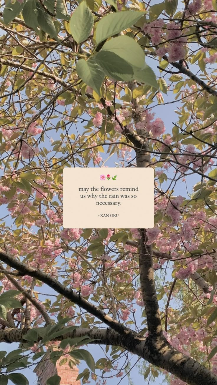 a sign hanging from the side of a tree in front of a blue sky with pink flowers