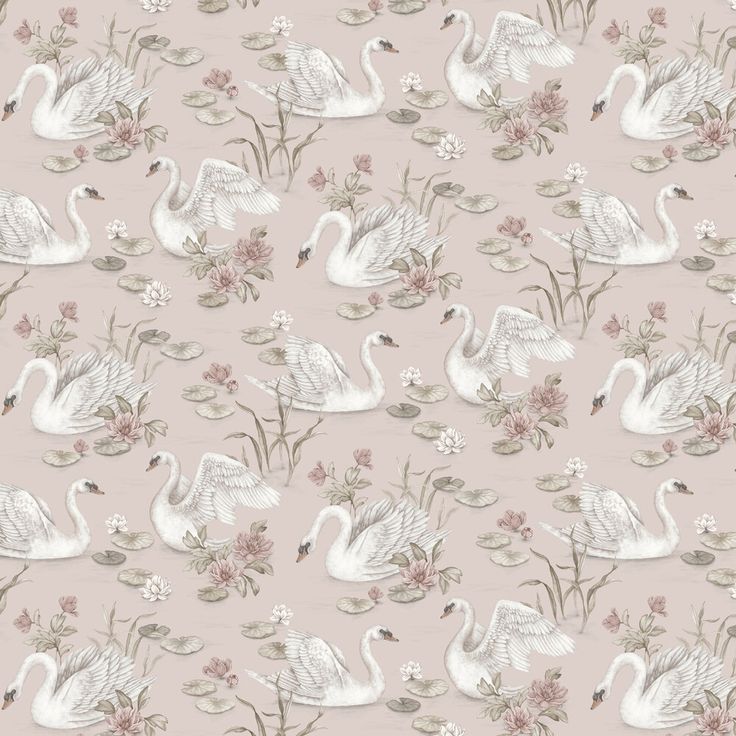 white swans and flowers on a pink background