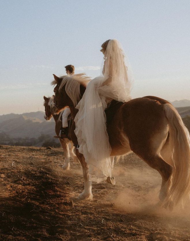 a bride riding on the back of a brown horse with her veil blowing in the wind