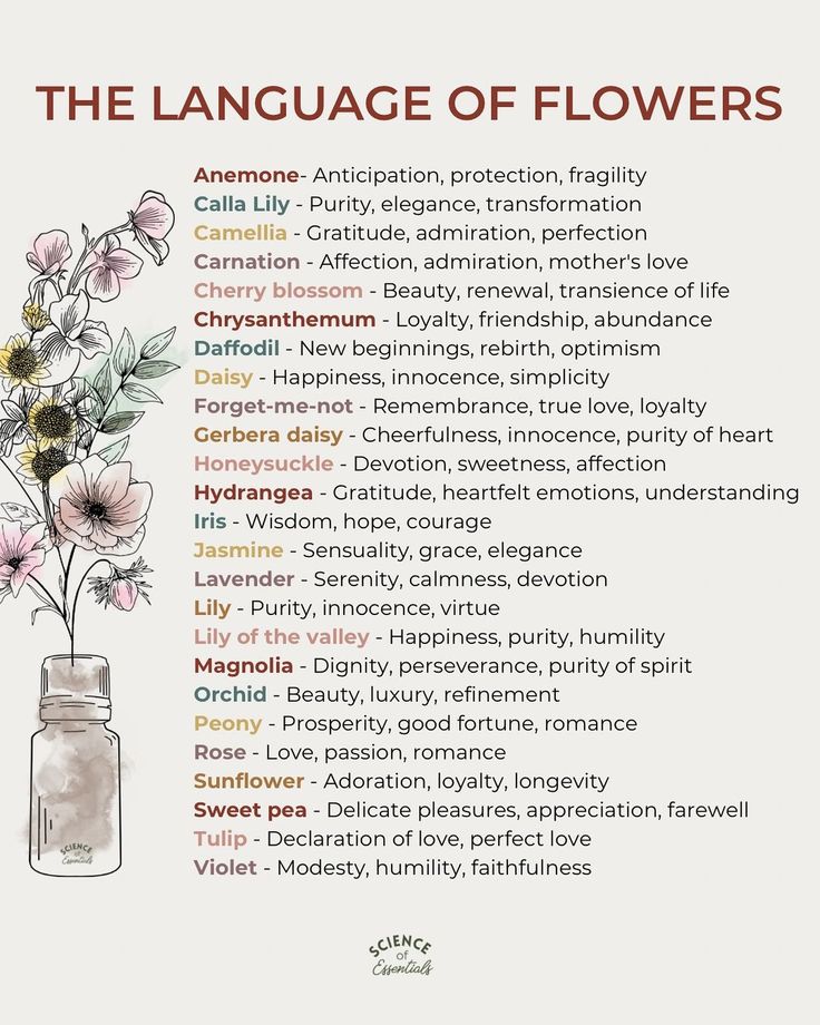 the language of flowers in a jar with some daisies on it, and other words below