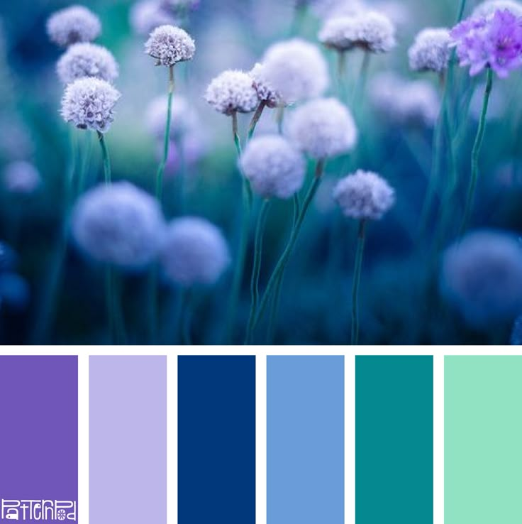 the color scheme is blue, green and purple with white dandelions in it