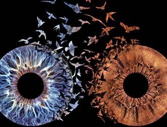 Iris Paar Fotografie - Love Design auf Echt-Glas 30x30 cm Eye Photo, Eyeball Art, Photos Of Eyes, Custom Eyes, Phone Wallpaper For Men, Santa Lucia, Relationship Goals Pictures, Brown Aesthetic, Creative Photos