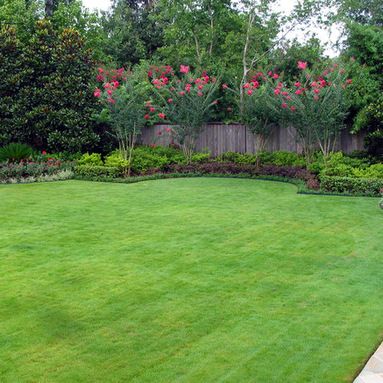 a lush green yard with lots of flowers in the background and bushes on either side