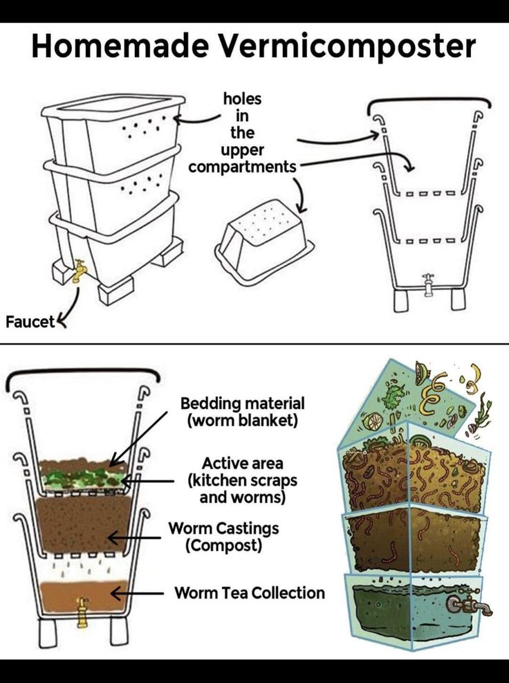 a diagram showing how to use a vermicomposter