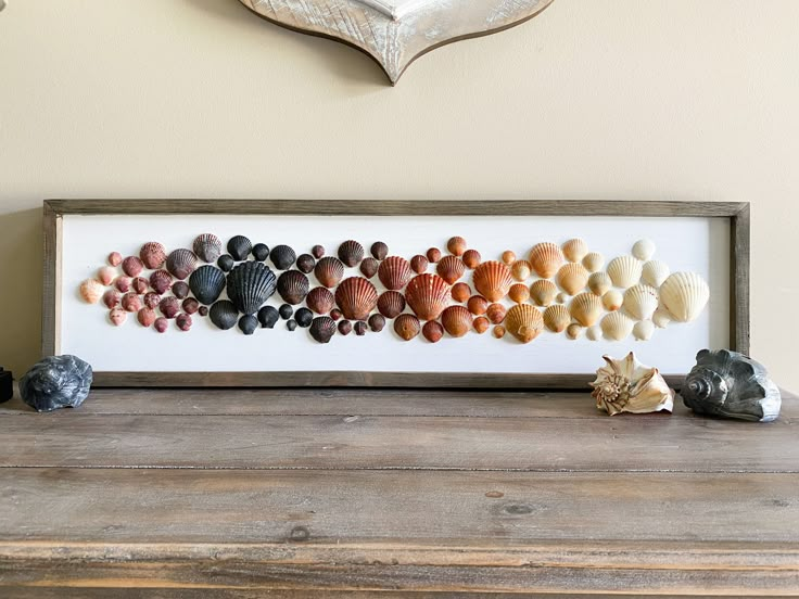 shells are arranged in a row on a wooden table next to a white framed art piece