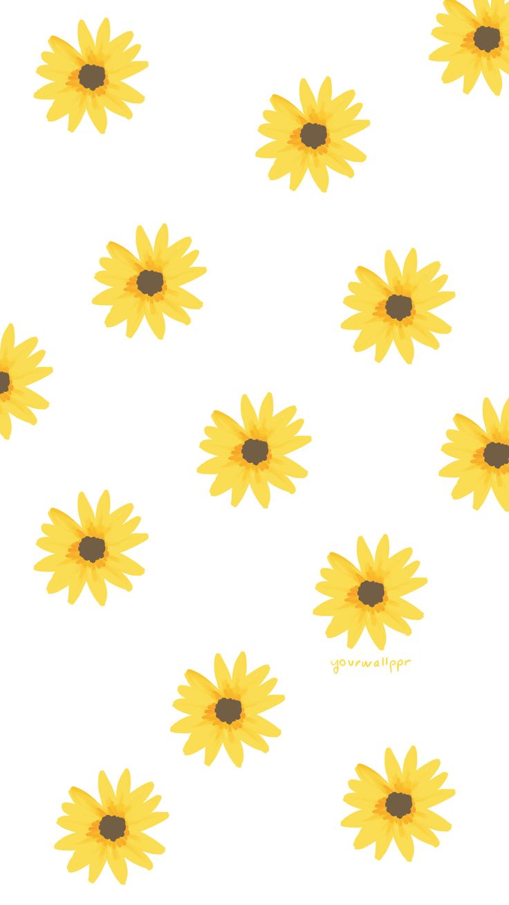 yellow sunflowers are arranged in rows on a white background