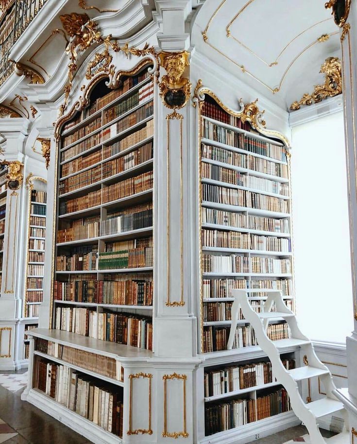 an ornately decorated library with many bookshelves and stairs in the corner,