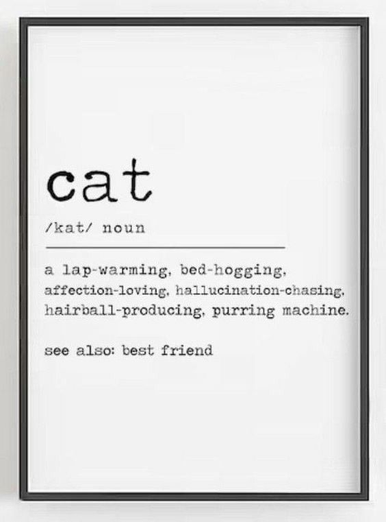 a black and white poster with the words cat on it