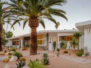 a palm tree in front of a white house with rocks and cactuses around it