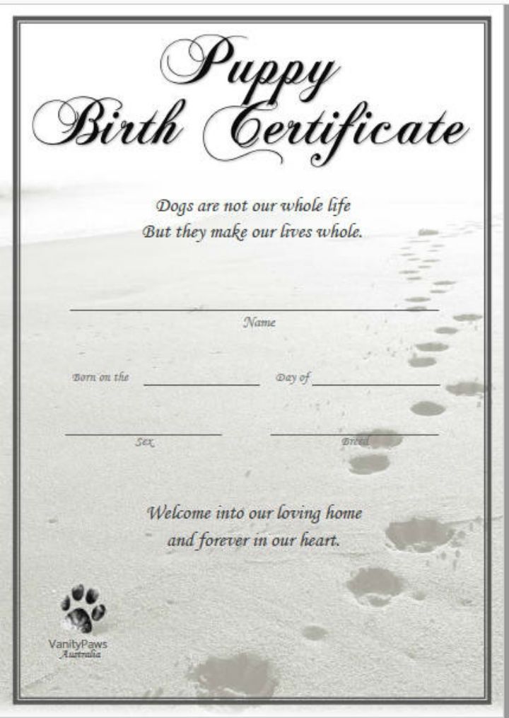 a dog's paw printable certificate with the words happy birthday written on it