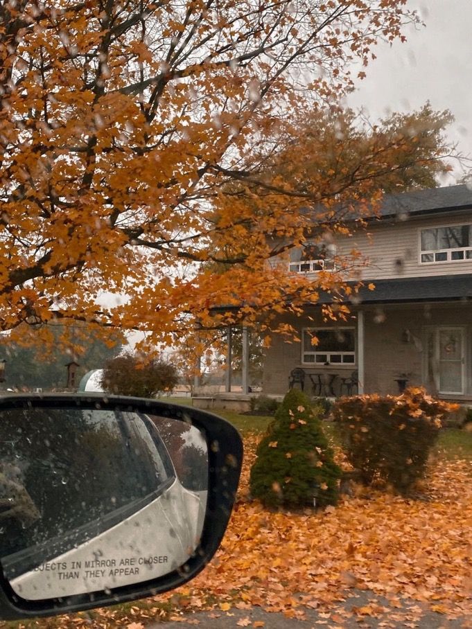 a car's side view mirror is shown in front of a house with autumn leaves on the ground