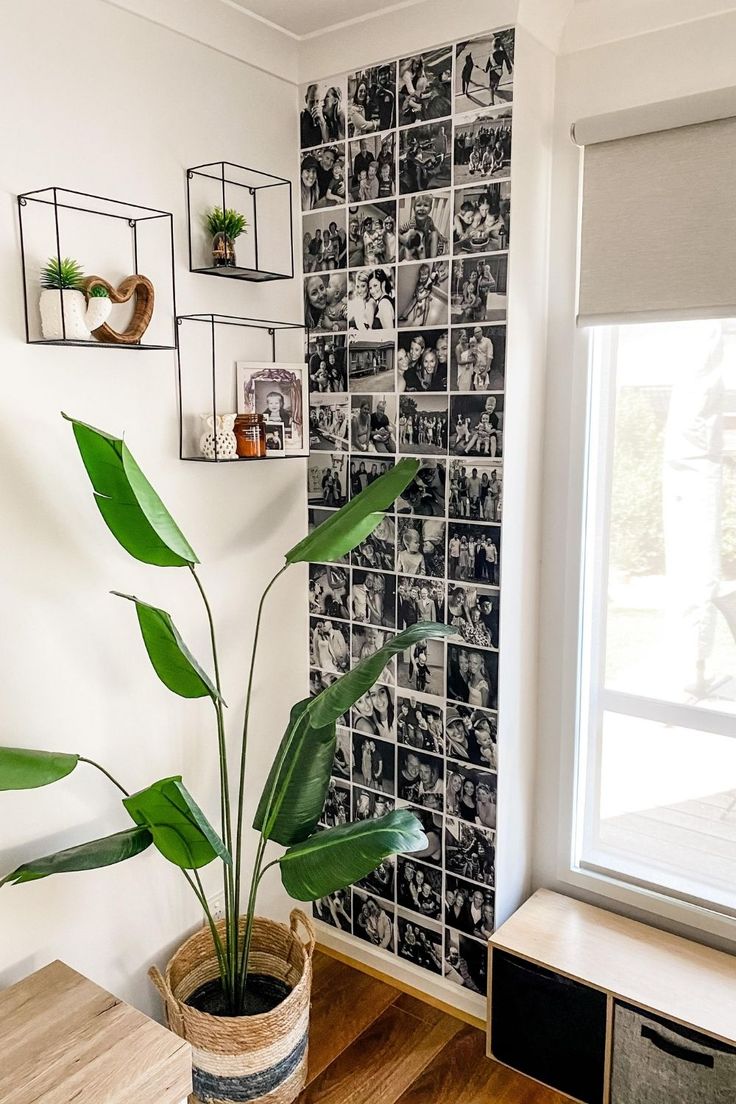 a potted plant sitting on top of a wooden table in front of a window