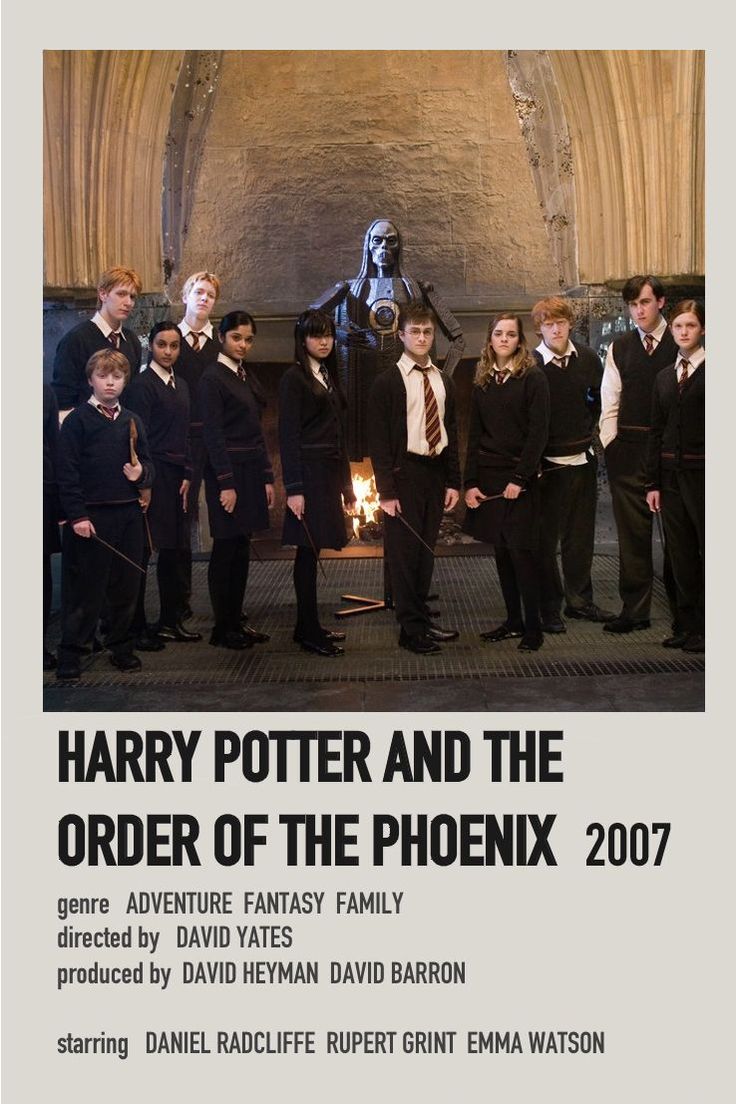 harry potter and the order of the phoenixk 2007 movie poster with characters in front