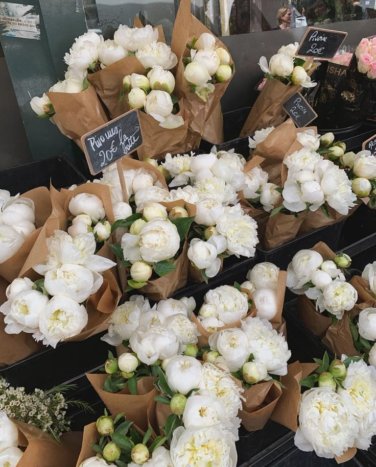 there are many white flowers on display at the market