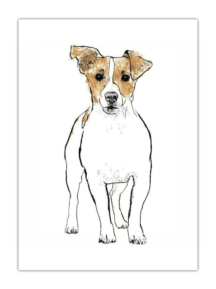 a brown and white dog standing in front of a white background