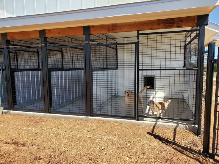 two dogs are in their kennel at the dog park