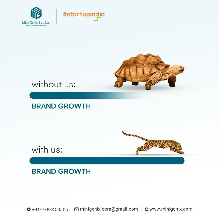 an advertisement for brand growth with a tortoise and a cat running behind it