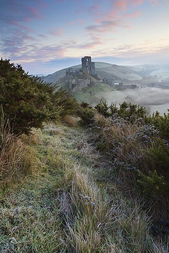 a foggy landscape with trees and grass in the foreground, an old castle on top of a hill