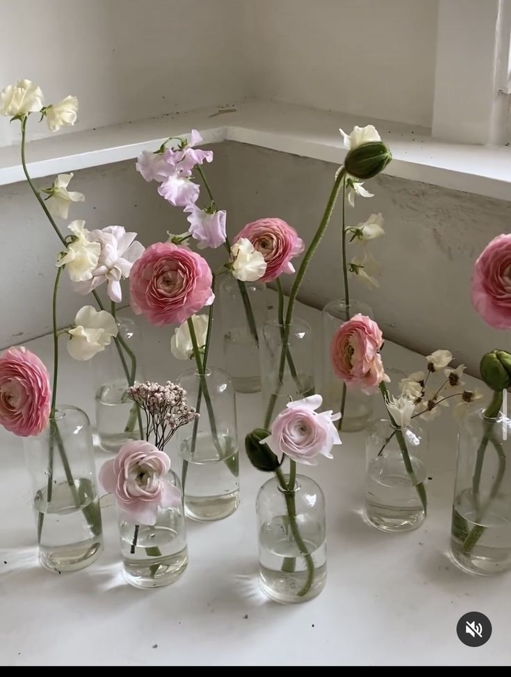 several vases filled with different types of flowers