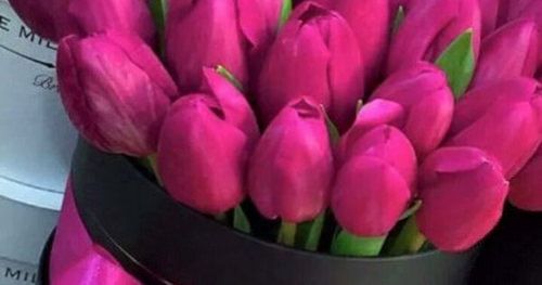 pink tulips are in black boxes and tied with a bow