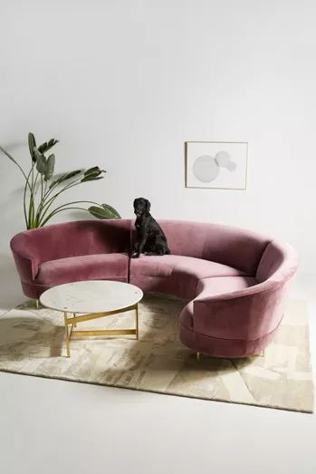 a dog sitting on top of a pink couch next to a coffee table and potted plant