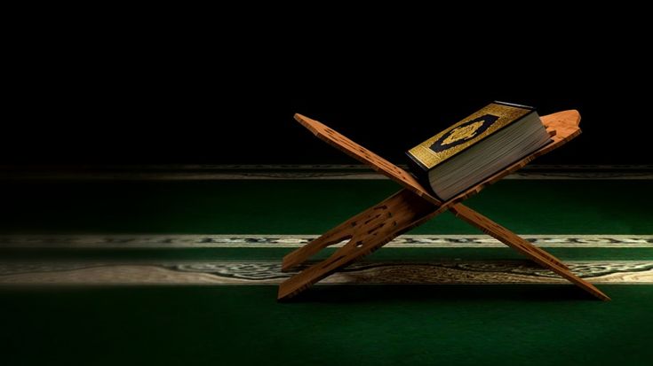 an open book sitting on top of a wooden chair next to a green tablecloth