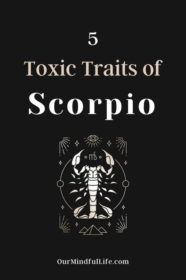 the front cover of a book with an image of a scorpion on it and text that reads