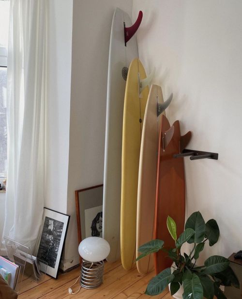 three surfboards are hanging on the wall next to a potted plant and pictures