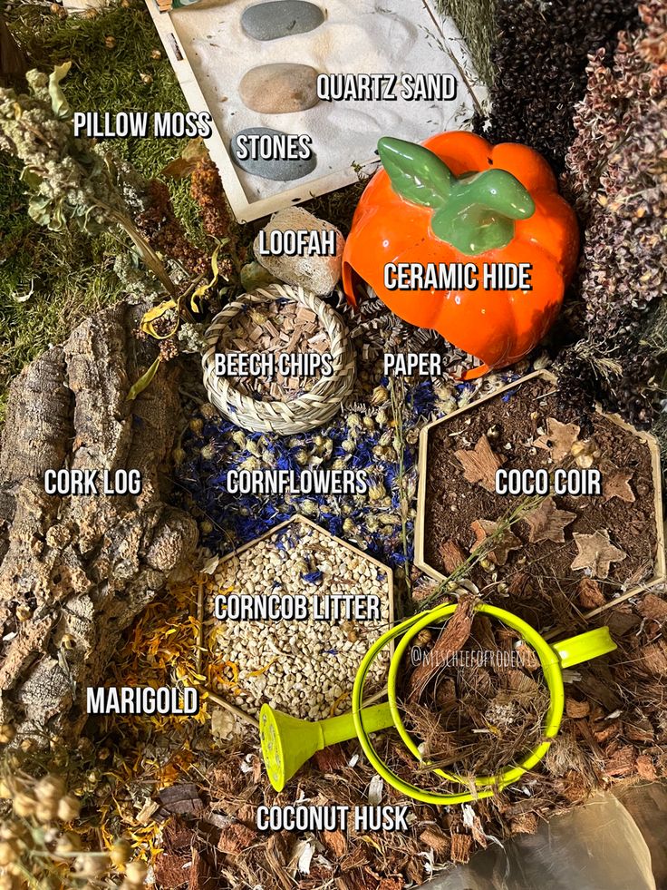 the contents of a bird feeder are shown in this image, with instructions on how to use them