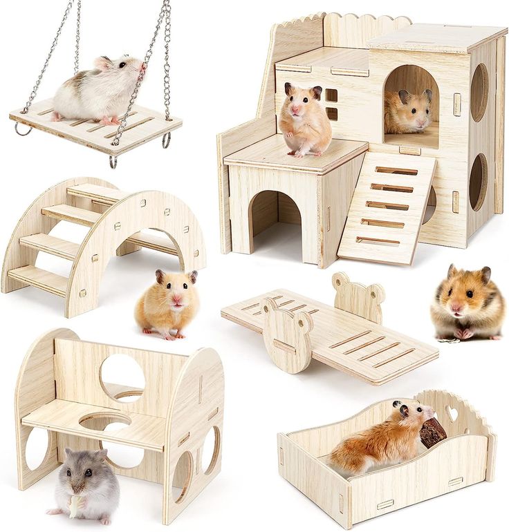 several different types of hamsters sitting in wooden toys like houses, beds, and ladders