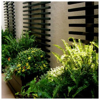 some plants that are sitting in front of a building with black slats on it