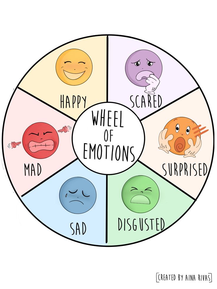 the four types of emotions in spanish are arranged in a circle, with words describing them