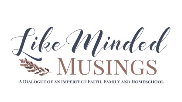 Lee I Like Minded Musings I Christian Parenting I Imperfect Faith I Mom Encouragement I Resources