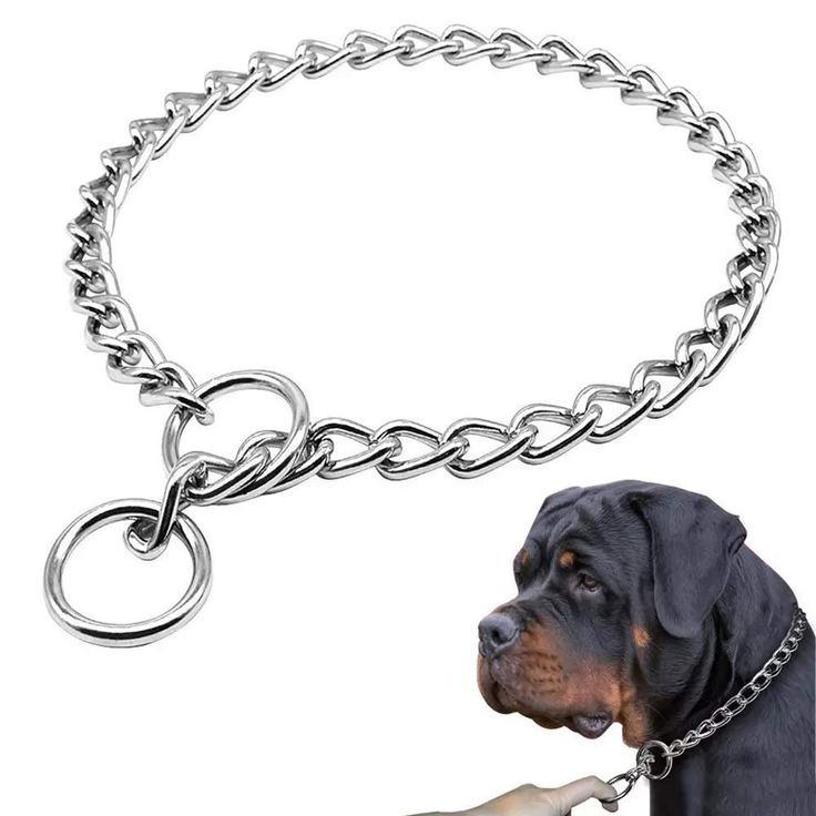 Freezx Dog Choke Collar Slip P Chain - Heavy Chain Dog Titan Training Choke Collars - Adjustable Stainless Steel Chain Dog Co Dog Cover, Heavy Chain, Dog Collars & Leashes, Dog Pin, Pitbull Dog, Mua Sắm, Dog Neck, Steel Necklace, Dog Collars