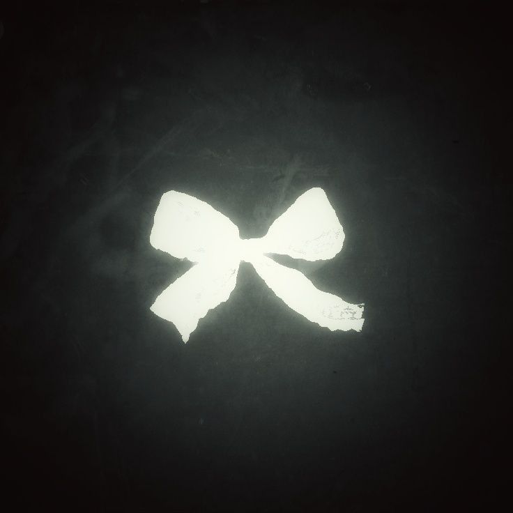 a black and white photo with a bow on it