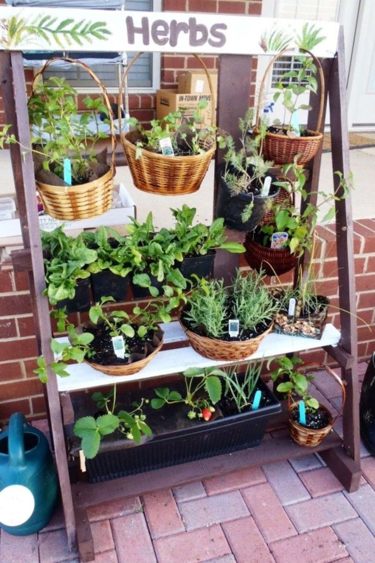 Outstanding 50 Apartment Herb Garden Ideas For Your Apartment http