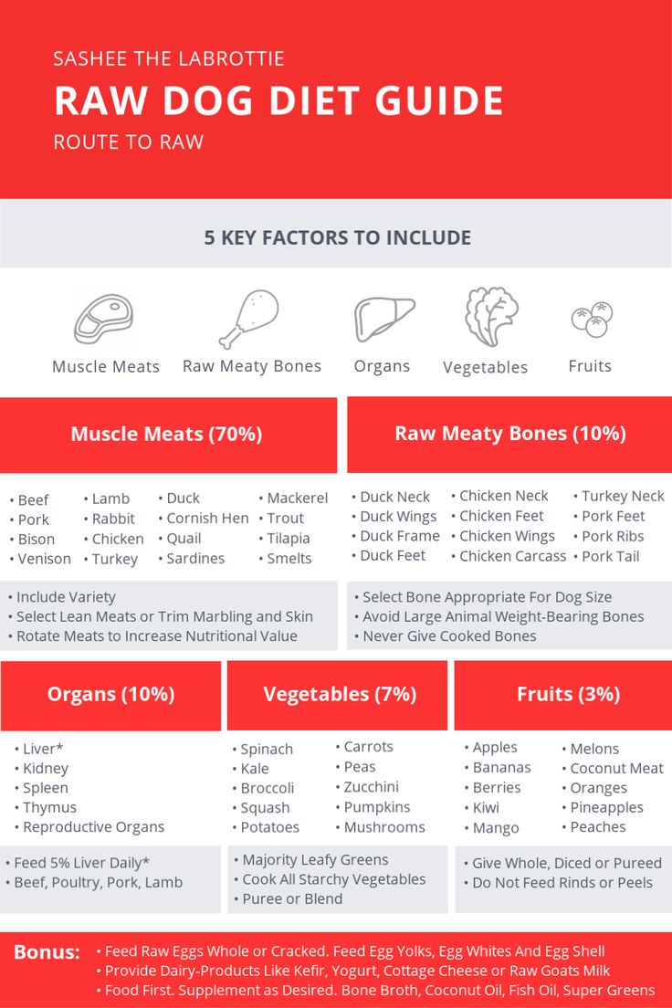 the raw dog diet guide is shown in red and white, with information about how to use