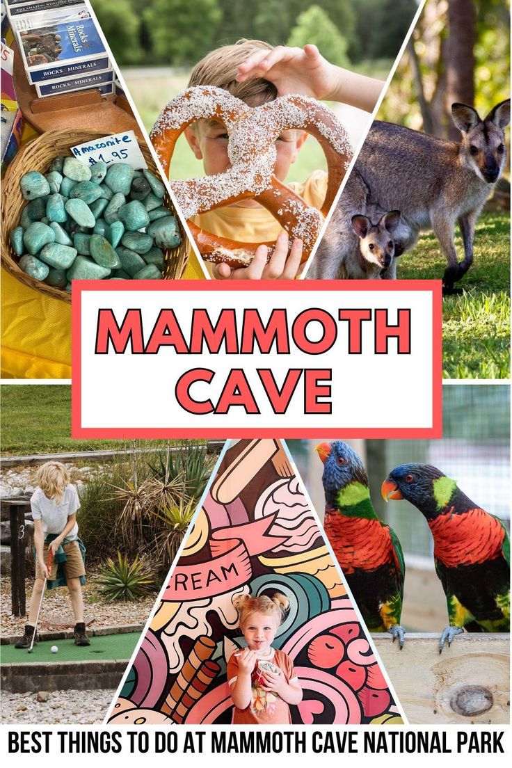 the mammoth cave sign with images of animals, birds and other things in front of it