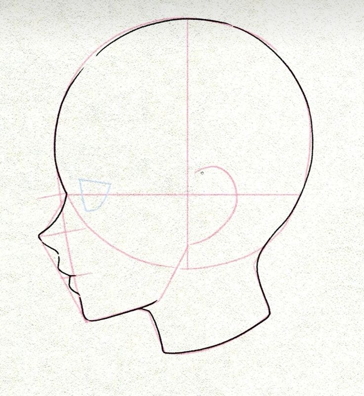 a drawing of a human head with lines drawn on it