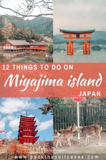 the top things to do in miyagima island japan with text overlay