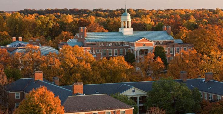 an aerial view of buildings and trees with fall foliage in the foreground at sunset