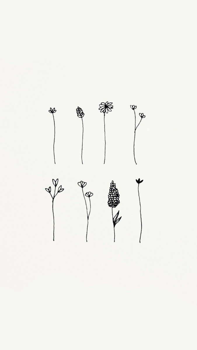 four black and white flowers on a white background