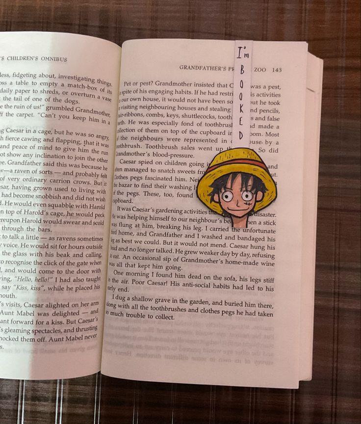 an open book with a drawing of a boy wearing a hat on top of it