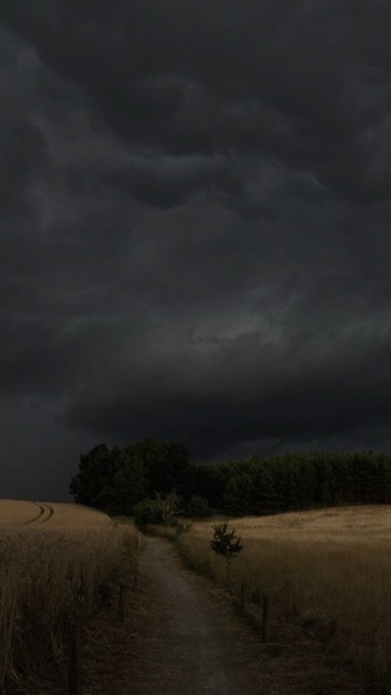 a dirt road in the middle of a wheat field under a dark sky with storm clouds